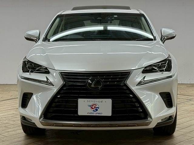 TOYOTA LEXUS NX300 2018