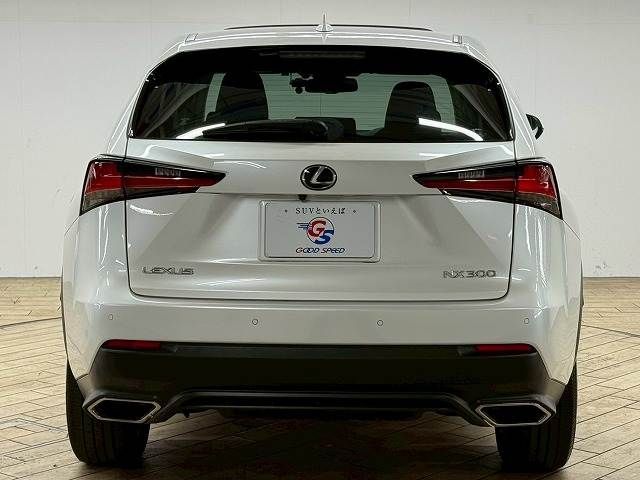 TOYOTA LEXUS NX300 2018