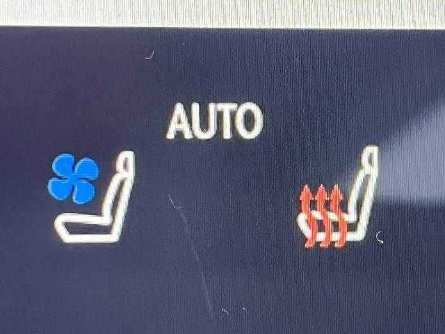 TOYOTA LEXUS NX350h AWD 2023