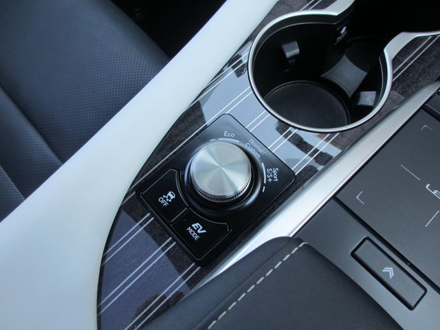 TOYOTA LEXUS RX450h AWD 2019