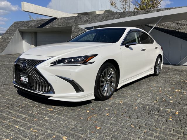 TOYOTA LEXUS ES300h 2019