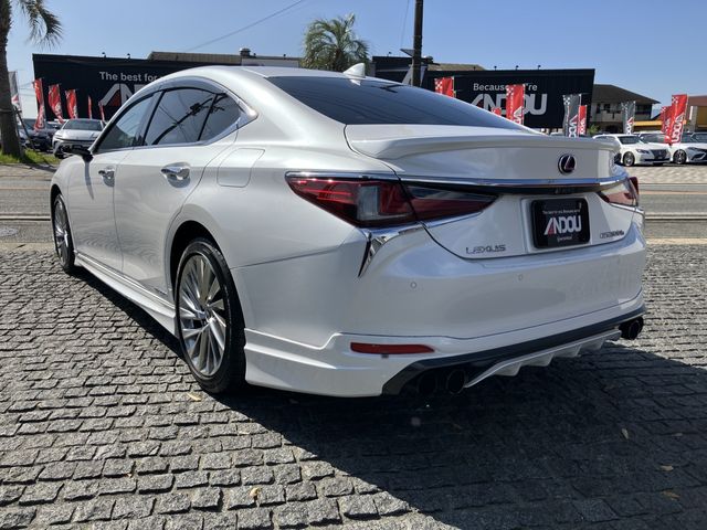 TOYOTA LEXUS ES300h 2019