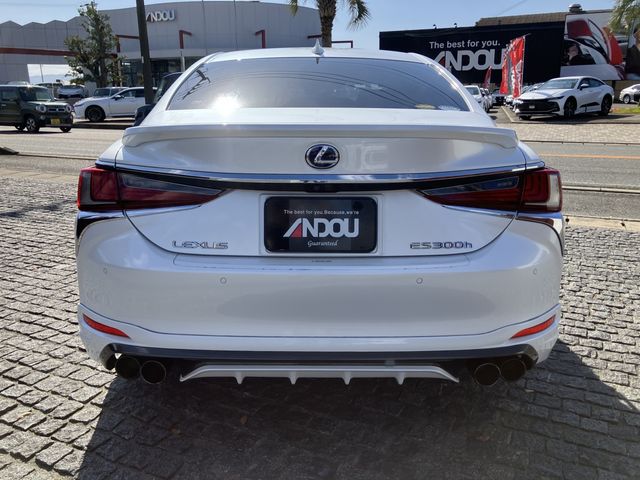 TOYOTA LEXUS ES300h 2019
