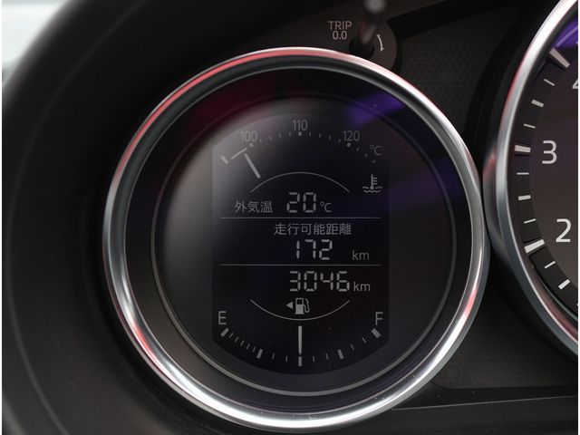 MITSUOKA Rock Star 2021