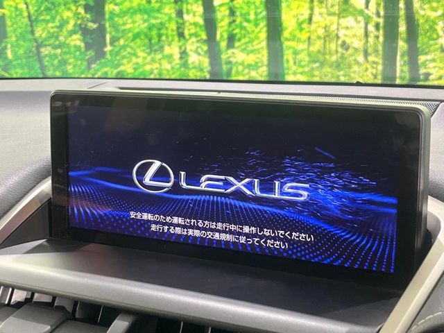 TOYOTA LEXUS NX300 2017