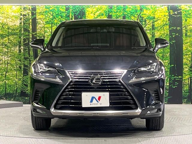 TOYOTA LEXUS NX300 2017