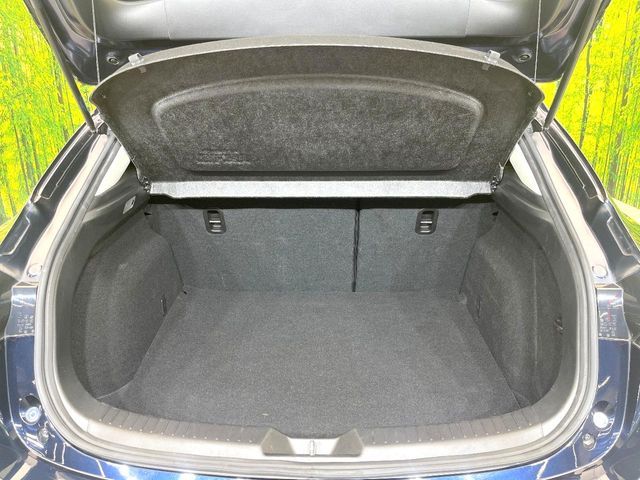 MAZDA AXELA SPORTS 2017