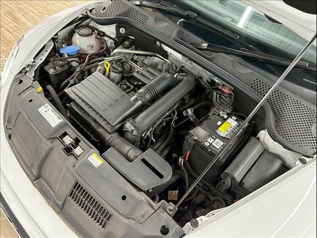 VOLKSWAGEN VOLKSWAGEN The BEETLE 2018