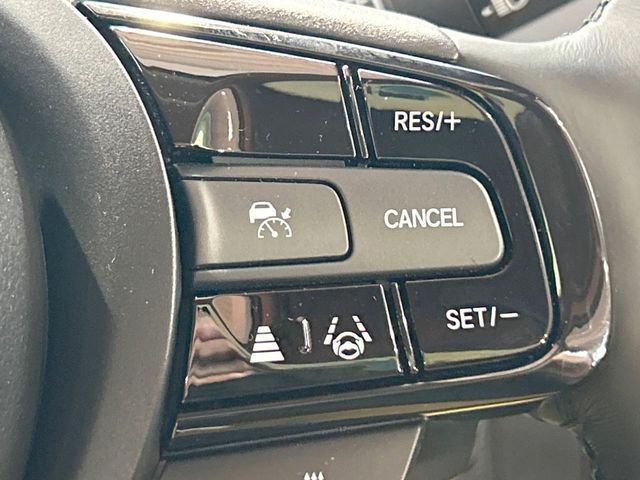 HONDA VEZEL e:HEV 2024