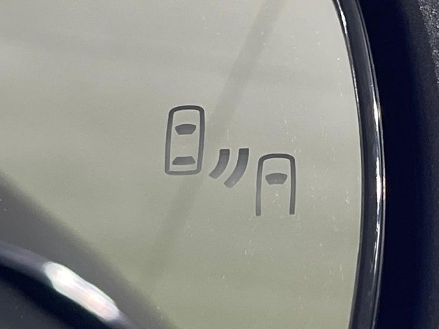 TOYOTA RAIZE HYBRID 2024