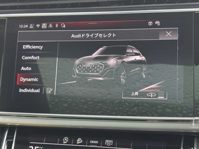 AUDI AUDI Q8 2025