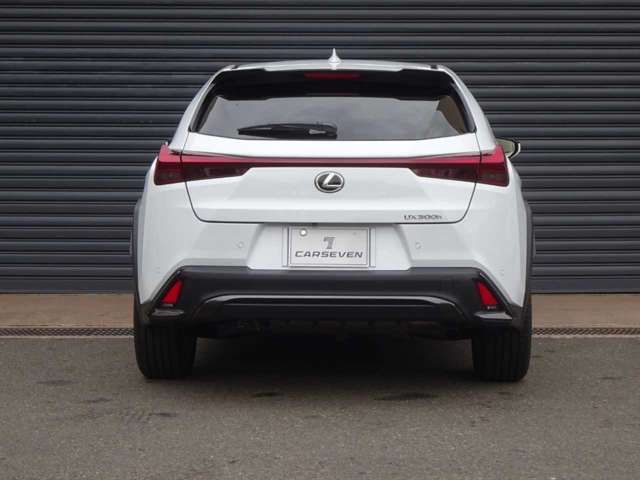 TOYOTA LEXUS UX300h 2025