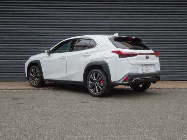 TOYOTA LEXUS UX300h 2025
