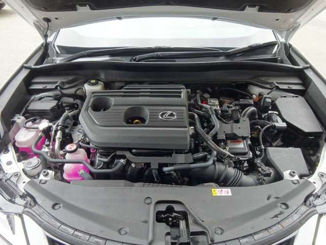 TOYOTA LEXUS UX300h 2025