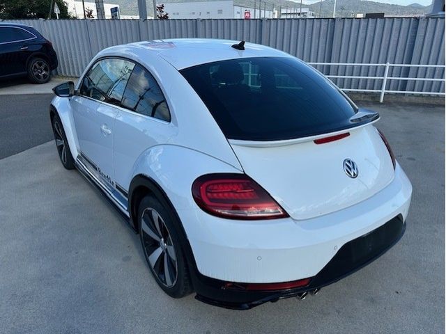 VOLKSWAGEN VOLKSWAGEN The BEETLE 2019
