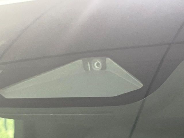 TOYOTA ALPHARD hybrid 4WD 2024