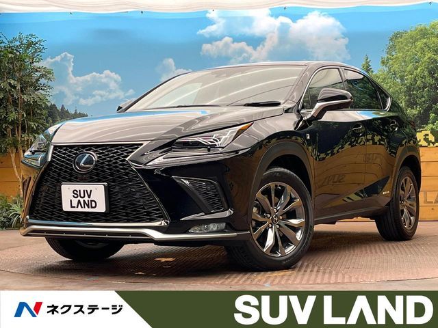 TOYOTA LEXUS NX300h 2020