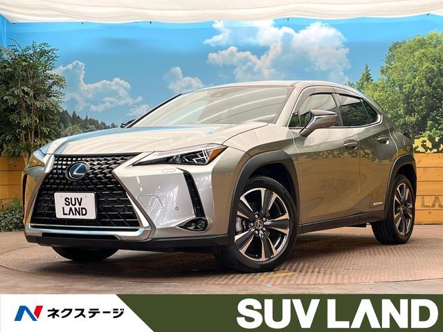 TOYOTA LEXUS UX250h 2021