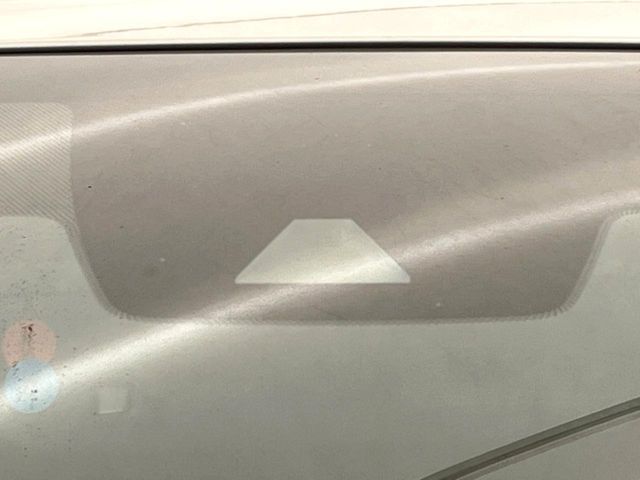 TOYOTA LEXUS UX250h 2021