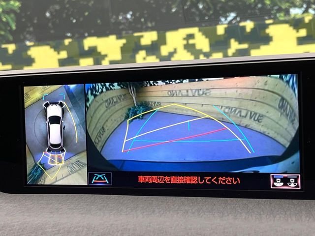 TOYOTA LEXUS UX250h 2021