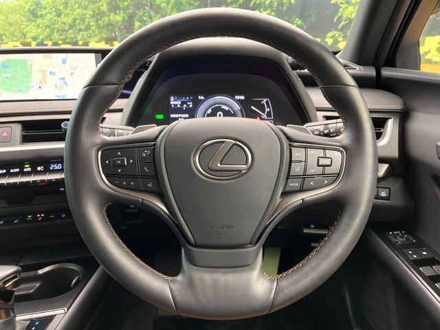 TOYOTA LEXUS UX250h 2021
