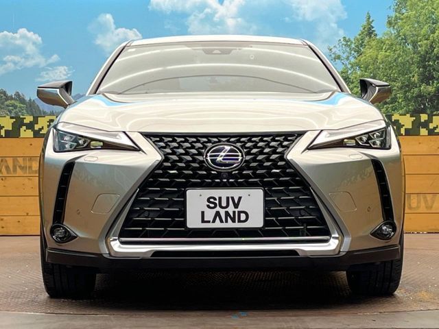 TOYOTA LEXUS UX250h 2021