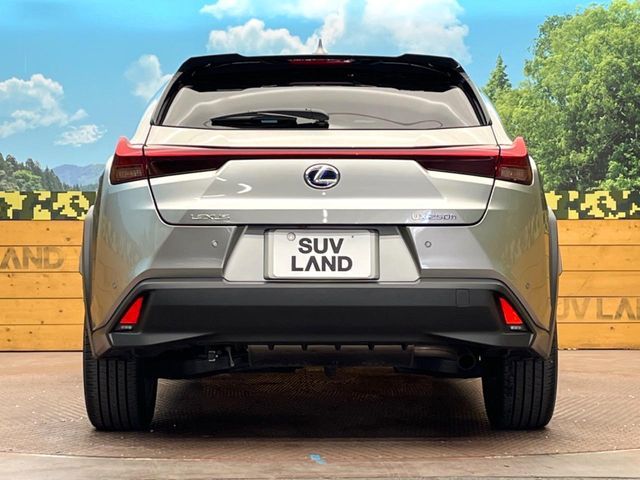 TOYOTA LEXUS UX250h 2021