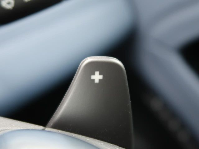 ROVER ROVER RANGE ROVER EVOGUE 2019