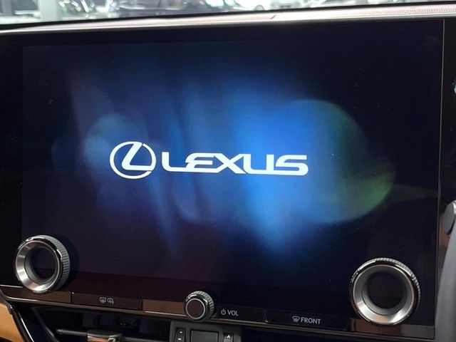 TOYOTA LEXUS NX350h AWD 2024