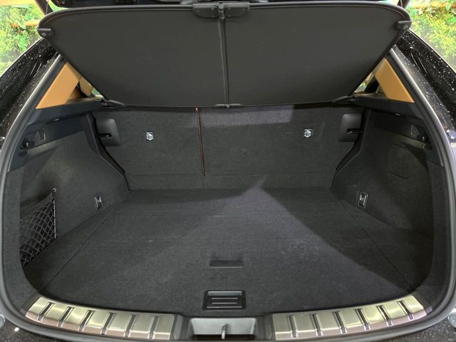 TOYOTA LEXUS NX350h AWD 2024