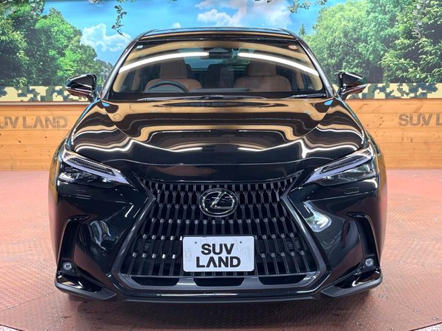 TOYOTA LEXUS NX350h AWD 2024