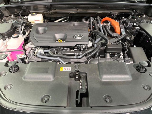 TOYOTA LEXUS NX350h AWD 2024