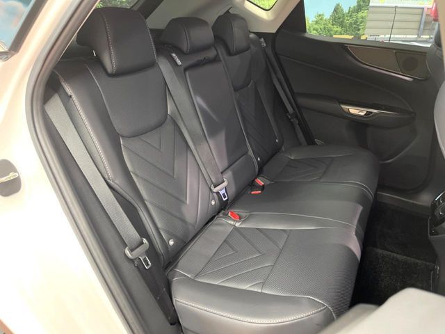 TOYOTA LEXUS NX350h 2024