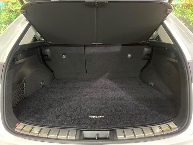 TOYOTA LEXUS NX350h 2024