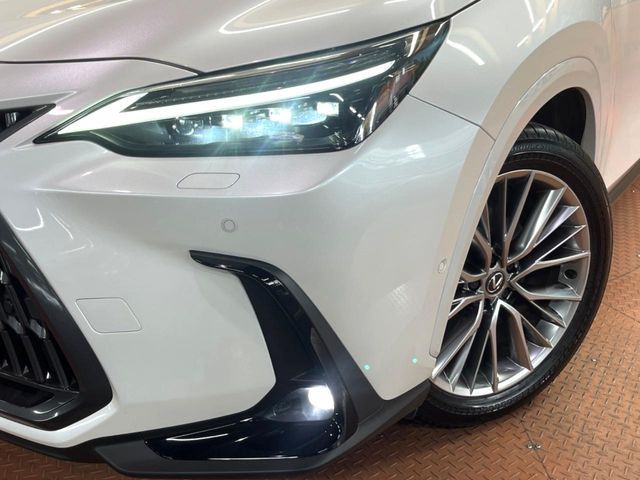 TOYOTA LEXUS NX350h 2024