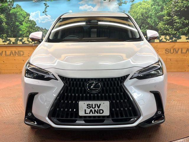TOYOTA LEXUS NX350h 2024