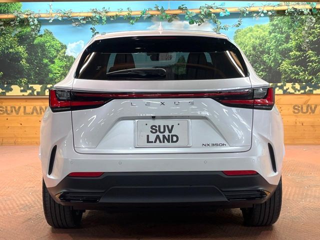 TOYOTA LEXUS NX350h 2024