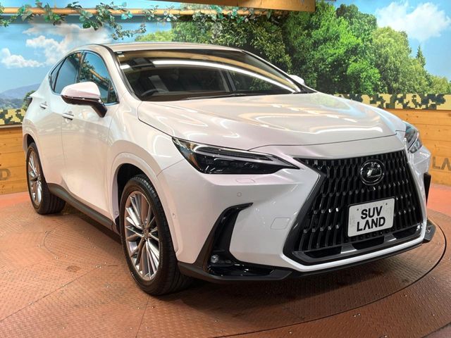 TOYOTA LEXUS NX350h 2024