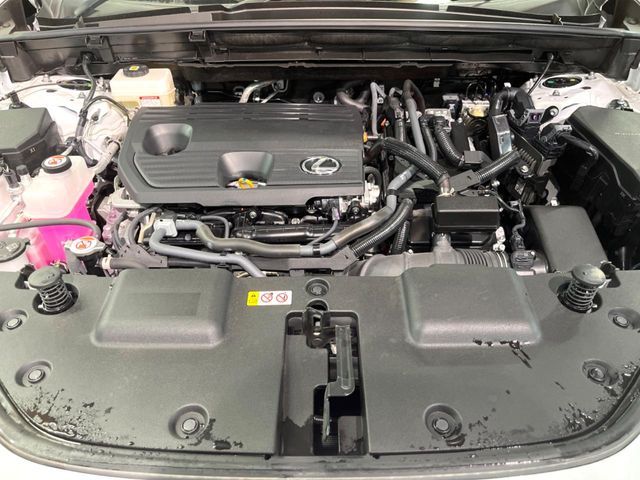 TOYOTA LEXUS NX350h 2024