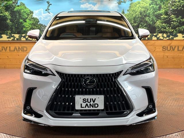 TOYOTA LEXUS NX350h 2023