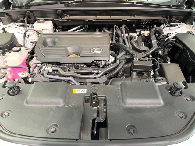 TOYOTA LEXUS NX350h 2023