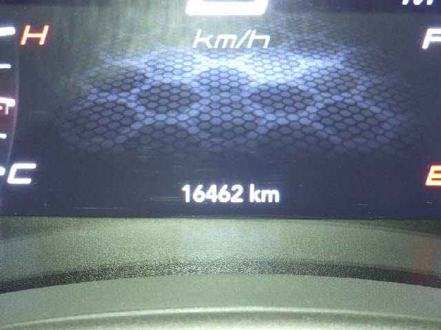 DODGE DODGE CHARGER 2021