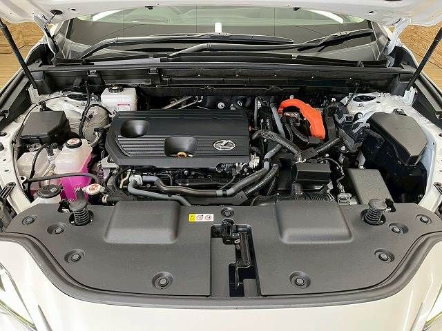 TOYOTA LEXUS NX350h AWD 2023