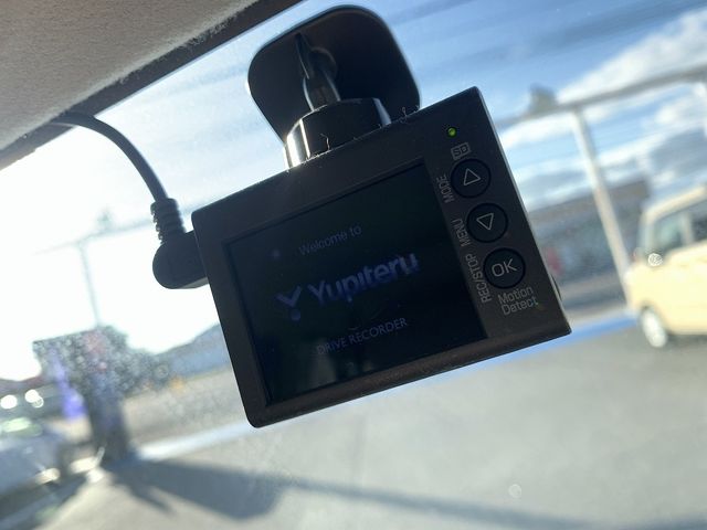 SUZUKI ALTO LAPIN 2019