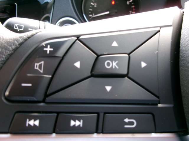 NISSAN X-TRAIL 4WD 2021