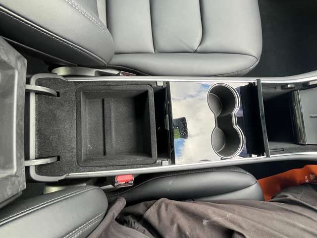 TESLA TESLA MODEL 3 2020