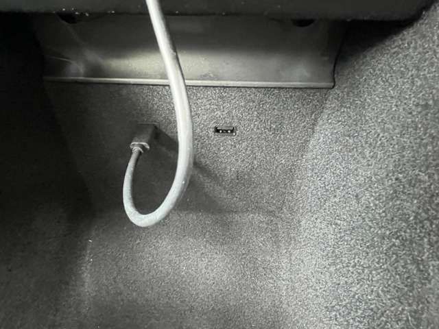 TESLA TESLA MODEL 3 2020