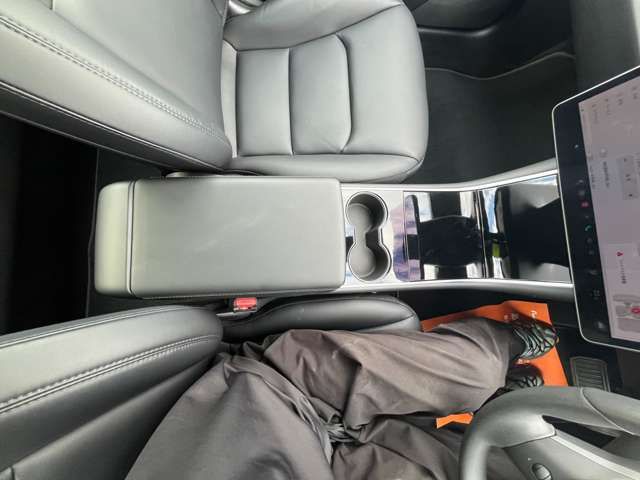 TESLA TESLA MODEL 3 2020