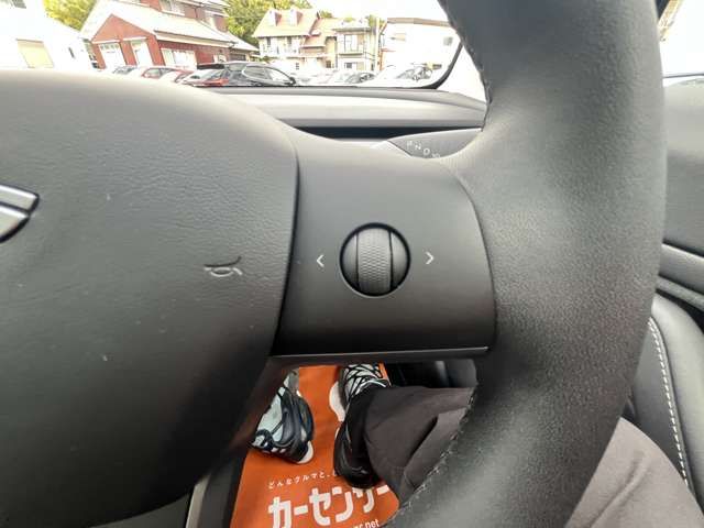 TESLA TESLA MODEL 3 2020