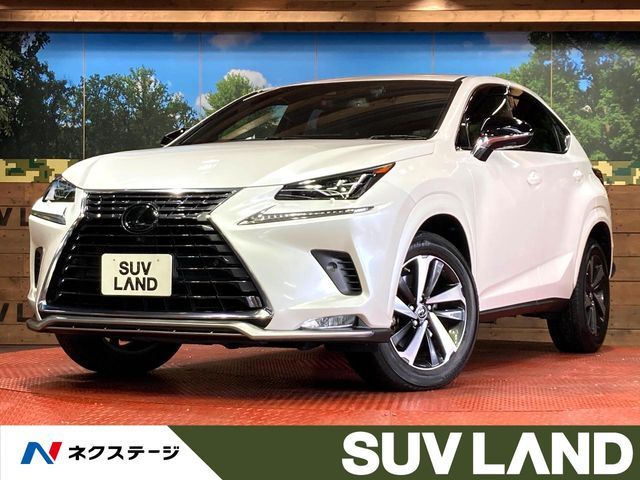 TOYOTA LEXUS NX300 2020